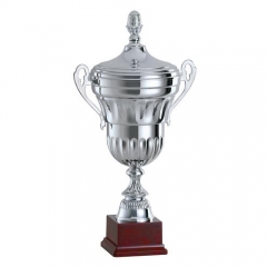 Articolo 224 - Coppa Big con Coperchio