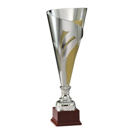 Articolo 253 - Coppa 'Oro-Argento'