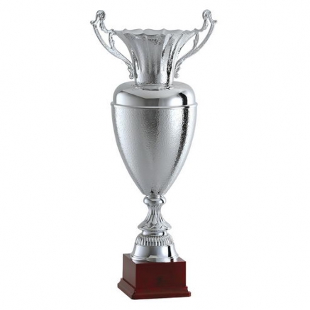 Articolo 225 - Coppa Grande 'Argento'