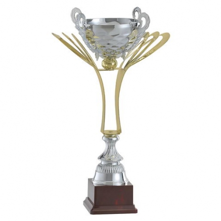 Articolo 238 - Trofeo Materiale ''Oro-Argento''